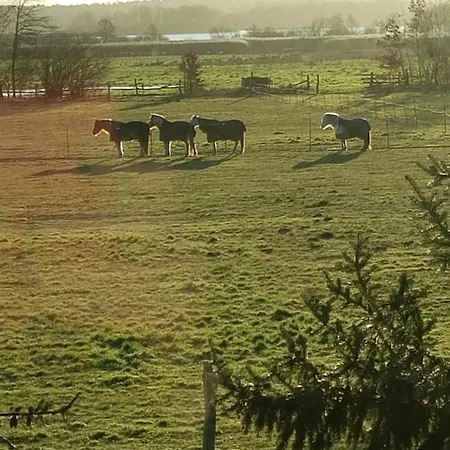 Ferien Mecklenburgische Seenplatte, Urlaub Auf Dem Gutshof Apartment Bossow