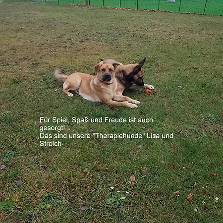 Ferien Mecklenburgische Seenplatte, Urlaub Auf Dem Gutshof Bossow
